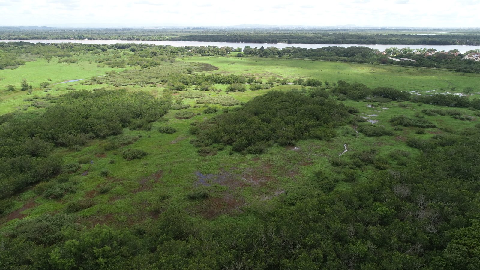 Campo de soja com mata nativa preservada — Agronegócio Ramus