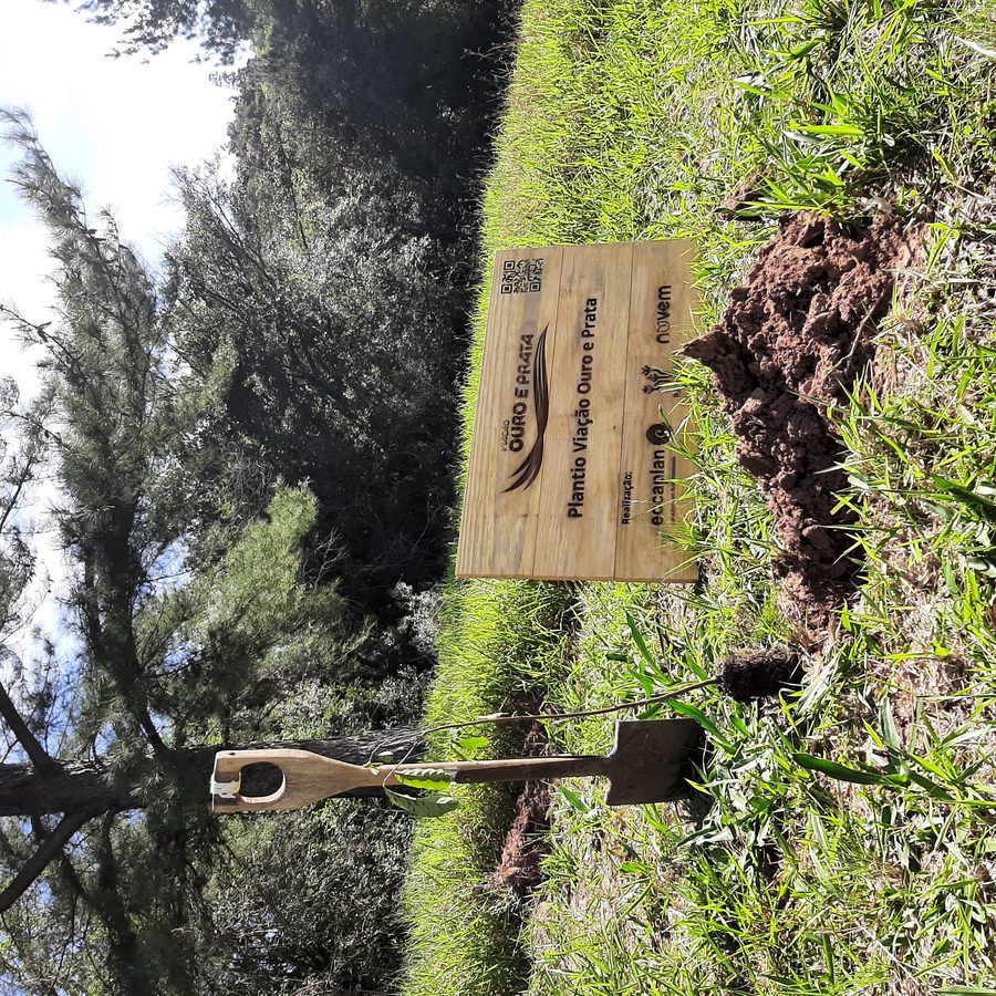 Estudo de viabilidade ambiental — campo