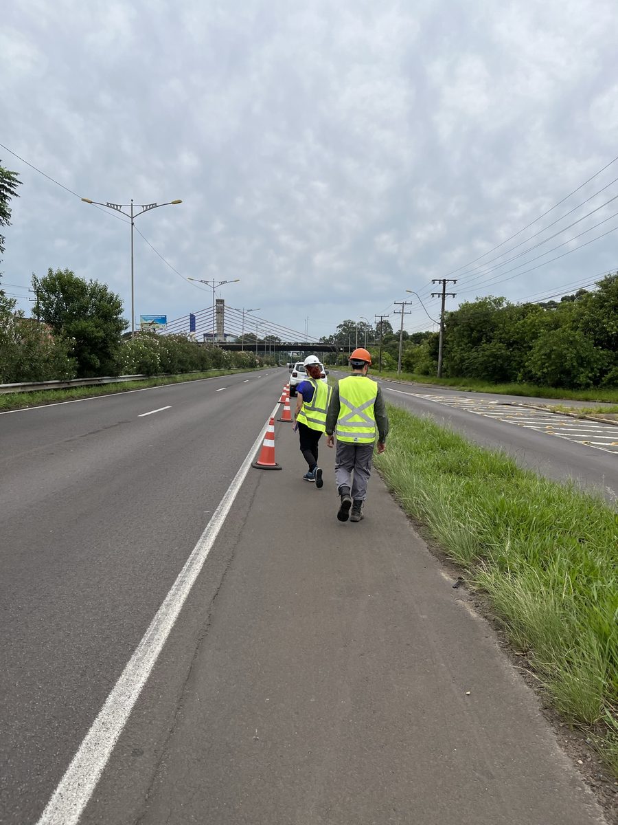 Compensação florestal em faixa de domínio — rodovia