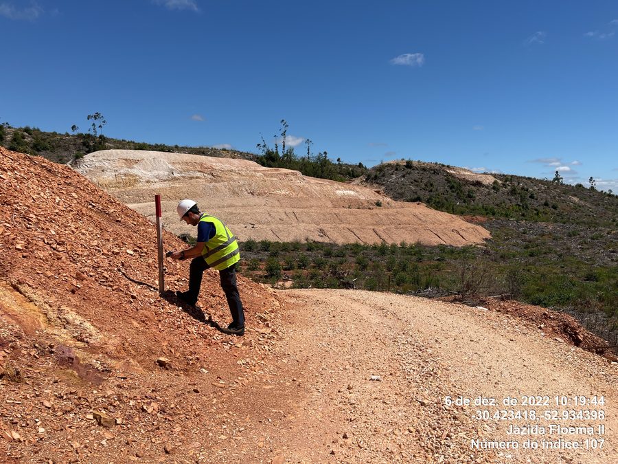 Monitoramento de fauna em corredor rodoviário