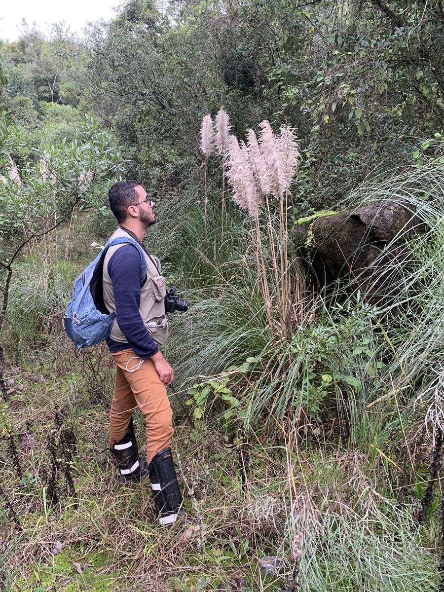 Licenciamento ambiental aeroportuário — Ramus