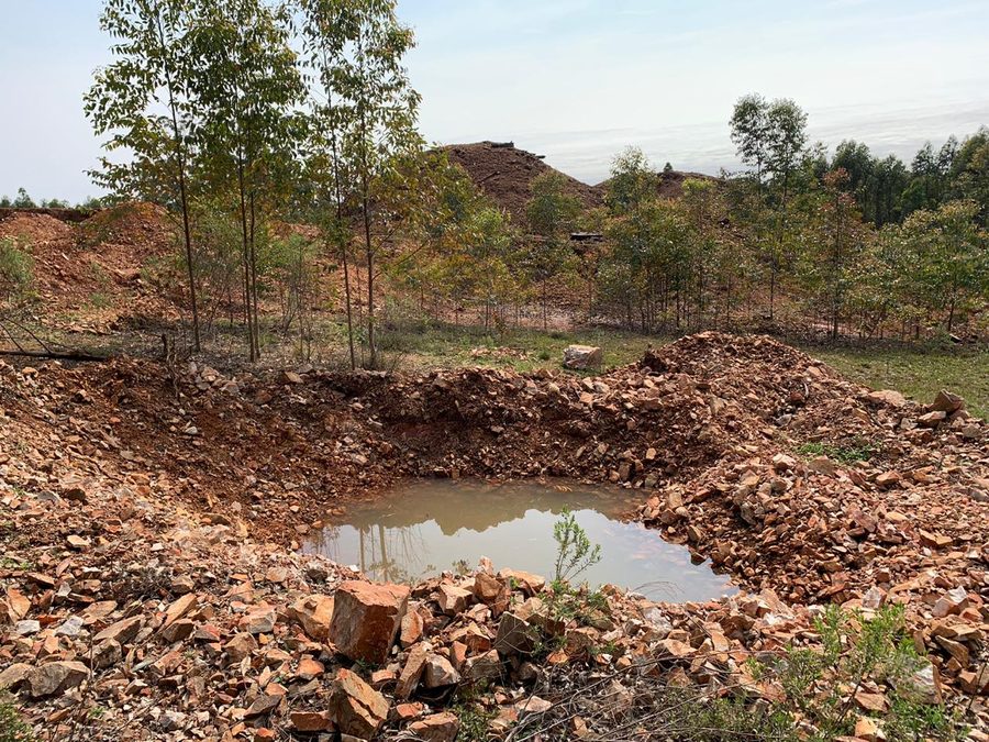 Maior área de recuperação pós-mineração — portfólio Ramus